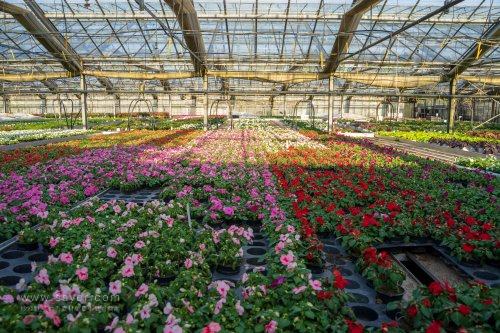 農(nóng)業(yè)物聯(lián)網(wǎng)監(jiān)控系統(tǒng) 農(nóng)業(yè)物聯(lián)網(wǎng)監(jiān)控系統(tǒng)